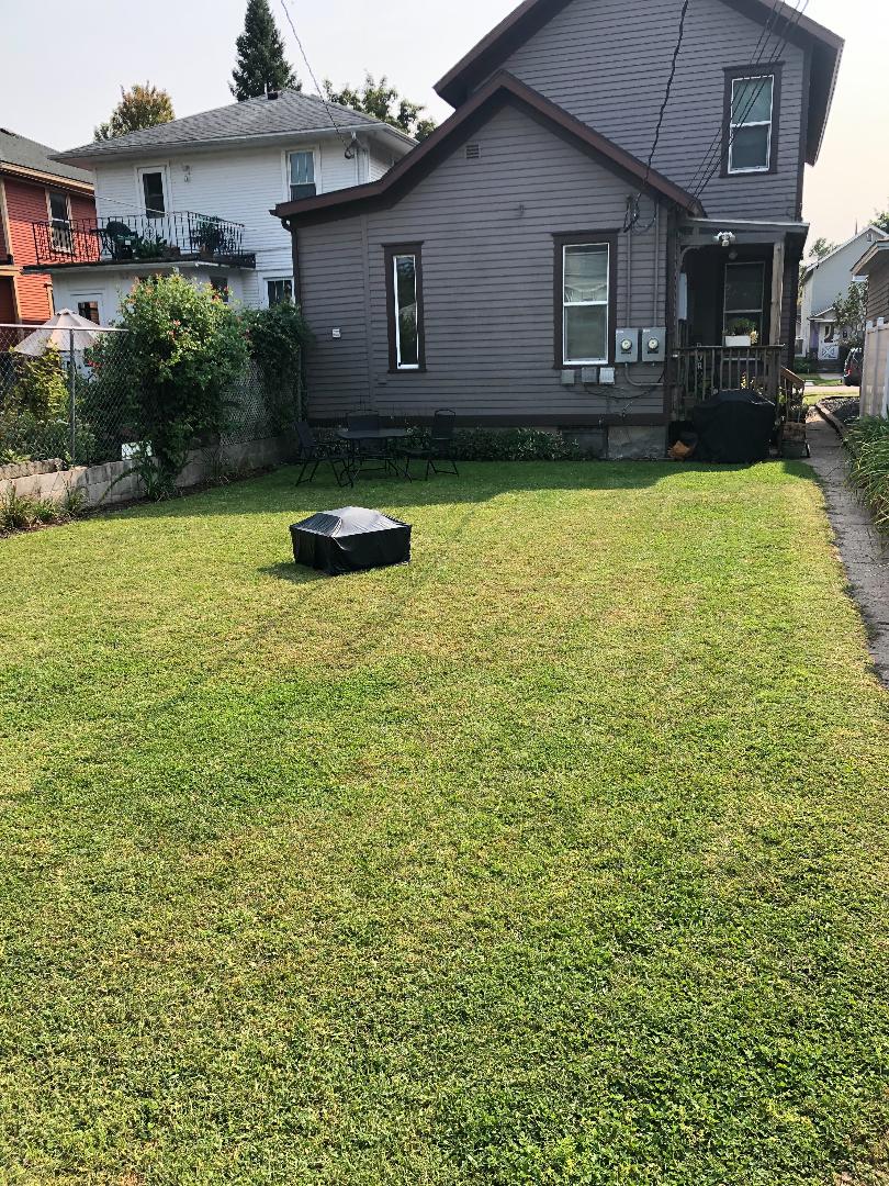 310 BACK YARD 2022 310 BACK YARD 2022