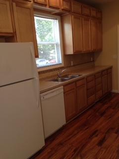 Kitchen Kitchen